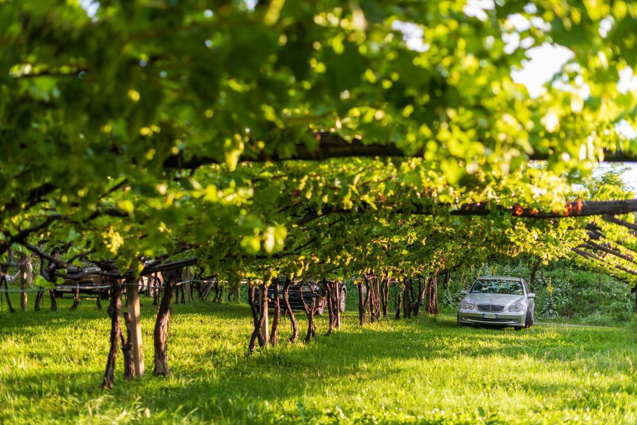 Sandhof Ferienwohnungen Tramin an der Weinstraße Exterior foto