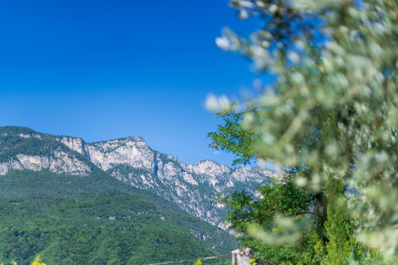 Sandhof Ferienwohnungen Tramin an der Weinstraße Exterior foto